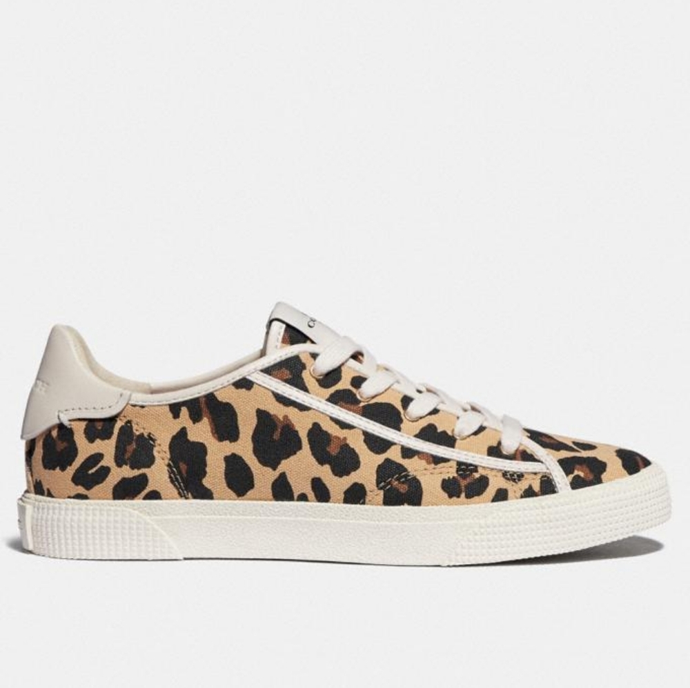 ๐ SALE Coach Leopard Low Top Sneakers - Picture 3 of 8